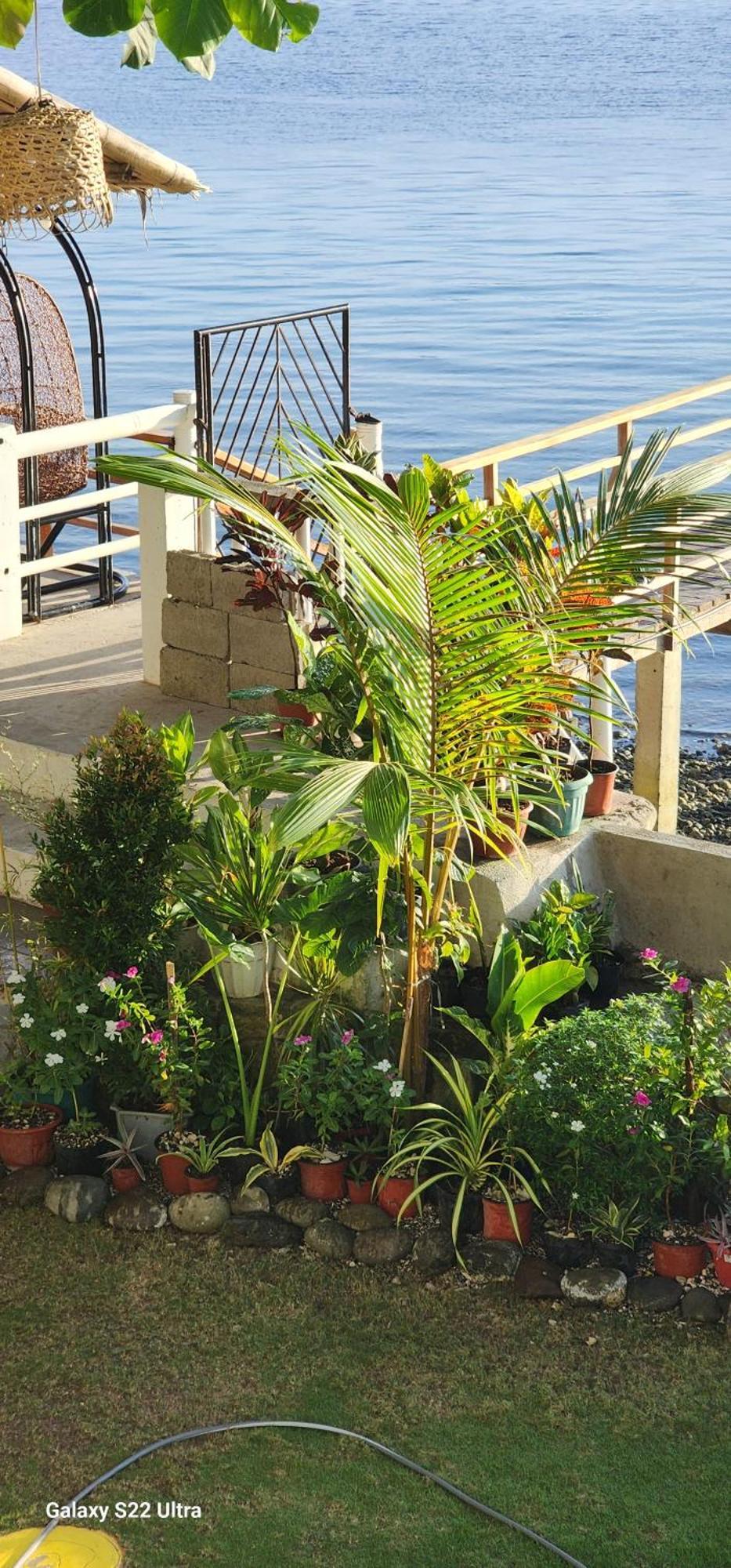Chue&Larry'S Beachside Homestay Libagon Екстер'єр фото